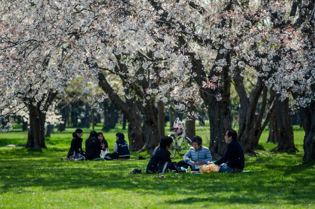 🌳 미즈모토 공원 (Mizumoto Park) 이미지 11